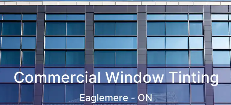  Commercial Window Tinting Eaglemere - ON