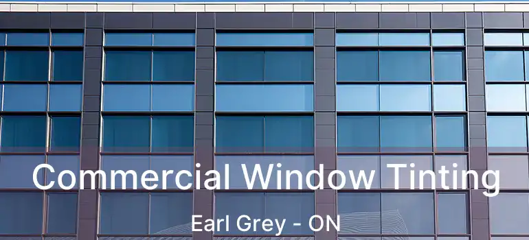  Commercial Window Tinting Earl Grey - ON