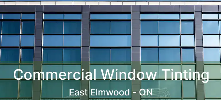  Commercial Window Tinting East Elmwood - ON