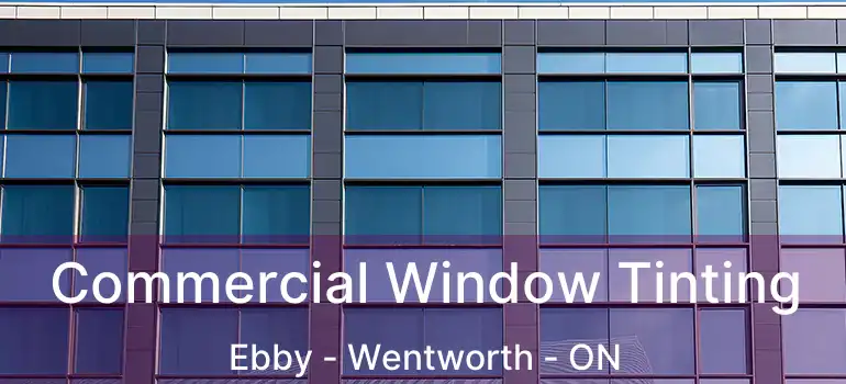  Commercial Window Tinting Ebby - Wentworth - ON