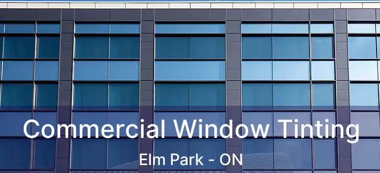  Commercial Window Tinting Elm Park - ON