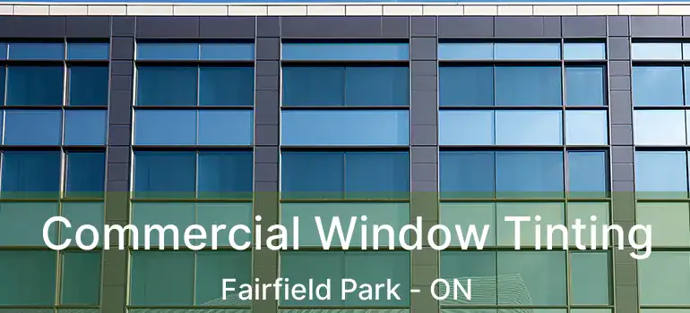  Commercial Window Tinting Fairfield Park - ON