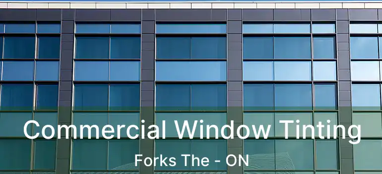  Commercial Window Tinting Forks The - ON