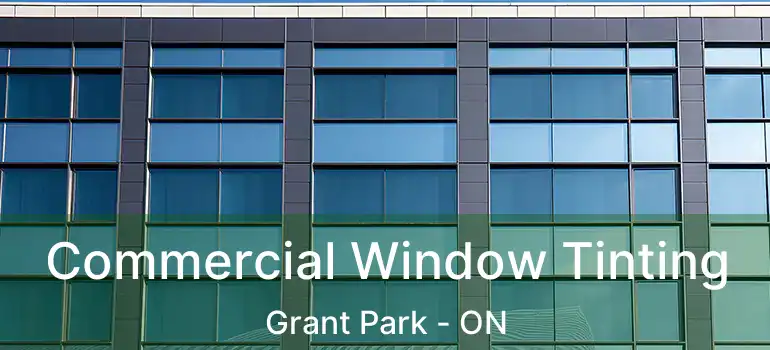  Commercial Window Tinting Grant Park - ON