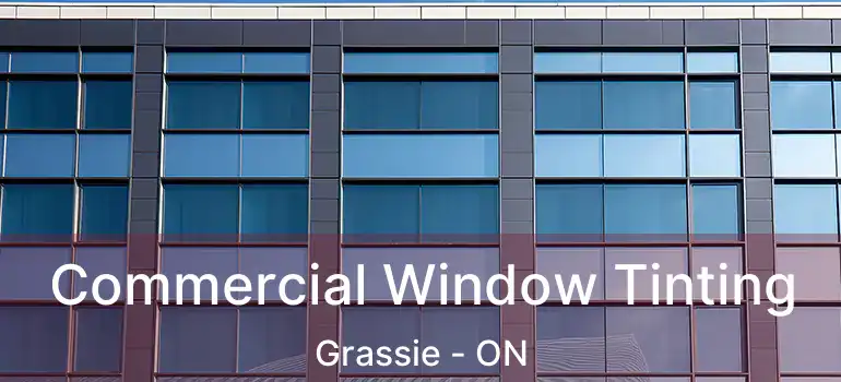  Commercial Window Tinting Grassie - ON