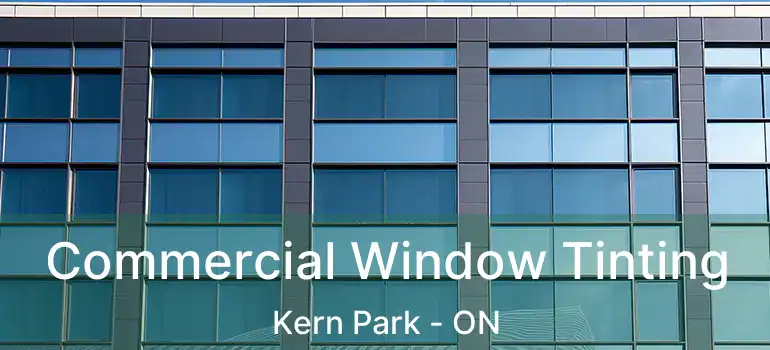  Commercial Window Tinting Kern Park - ON