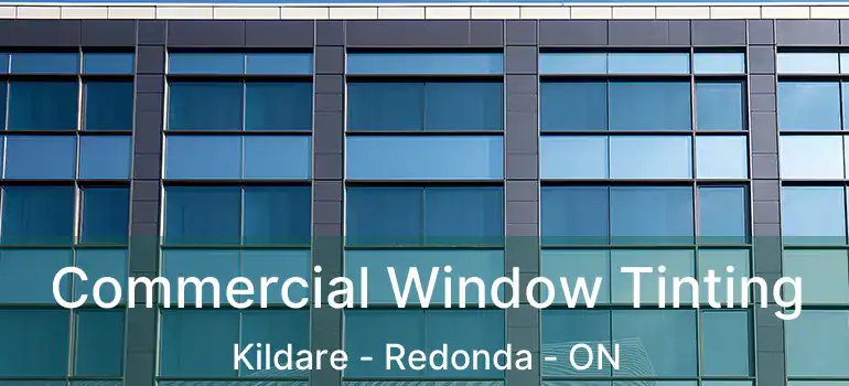  Commercial Window Tinting Kildare - Redonda - ON