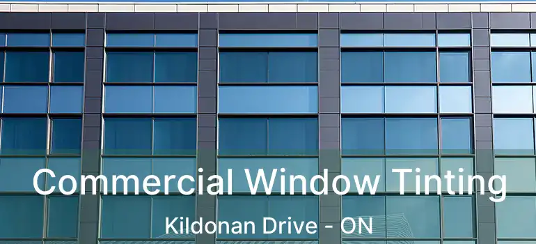  Commercial Window Tinting Kildonan Drive - ON