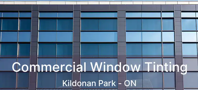  Commercial Window Tinting Kildonan Park - ON