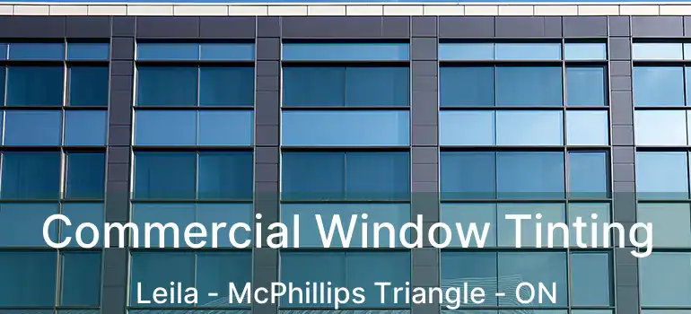  Commercial Window Tinting Leila - McPhillips Triangle - ON