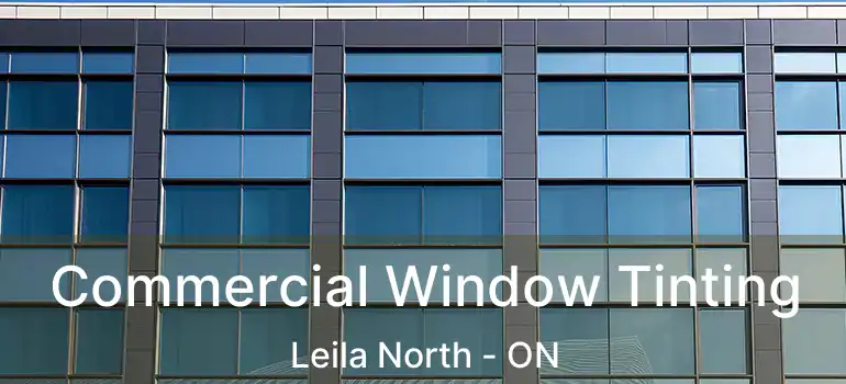  Commercial Window Tinting Leila North - ON