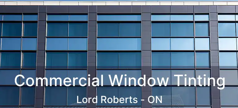  Commercial Window Tinting Lord Roberts - ON