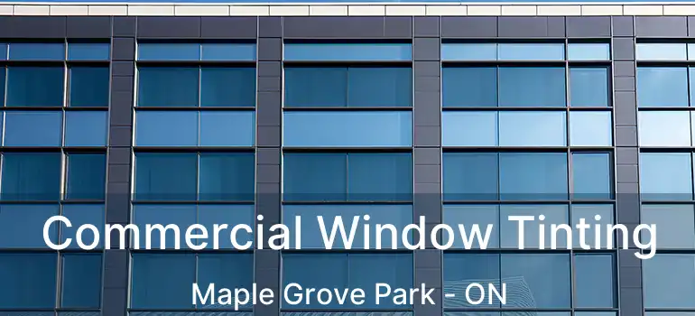  Commercial Window Tinting Maple Grove Park - ON