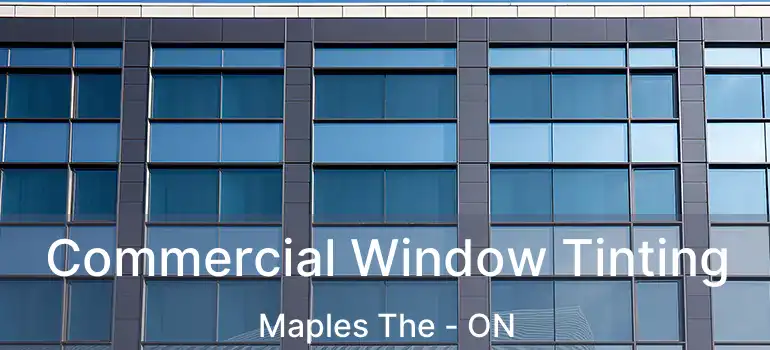  Commercial Window Tinting Maples The - ON