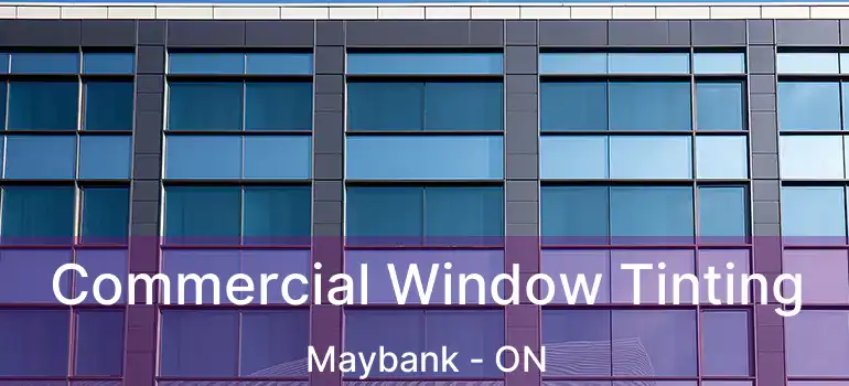  Commercial Window Tinting Maybank - ON
