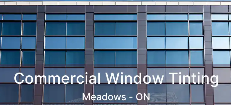  Commercial Window Tinting Meadows - ON