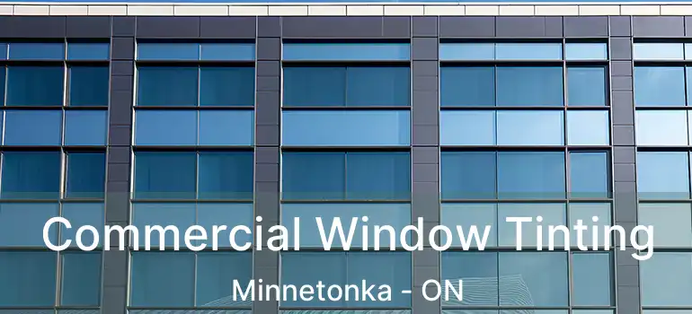  Commercial Window Tinting Minnetonka - ON