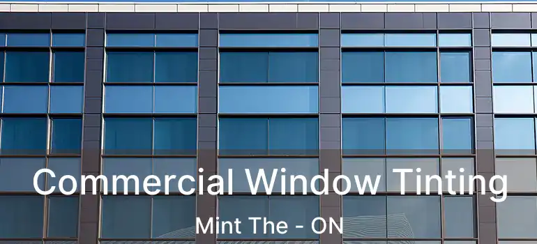  Commercial Window Tinting Mint The - ON