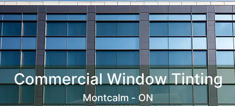  Commercial Window Tinting Montcalm - ON