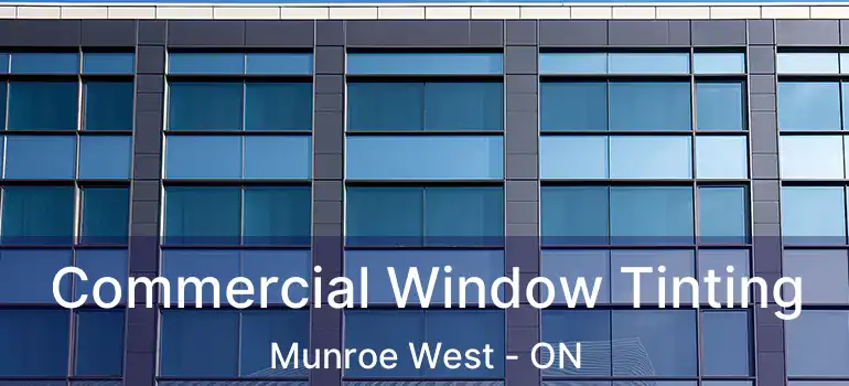  Commercial Window Tinting Munroe West - ON