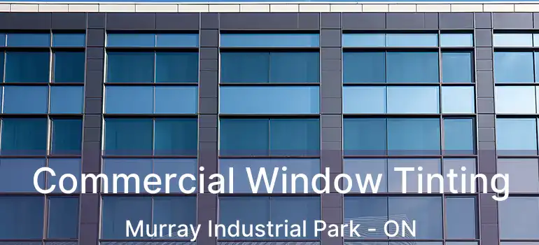  Commercial Window Tinting Murray Industrial Park - ON