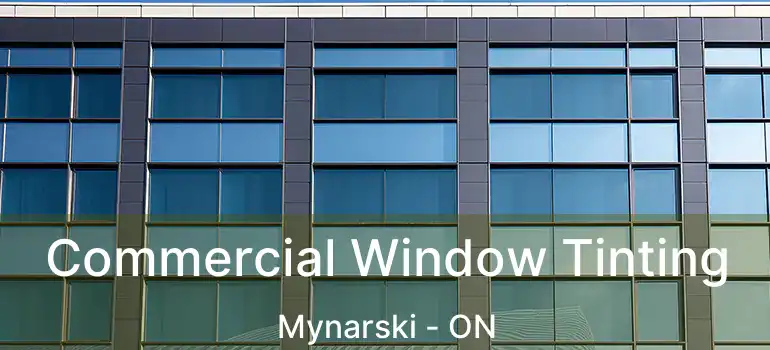  Commercial Window Tinting Mynarski - ON