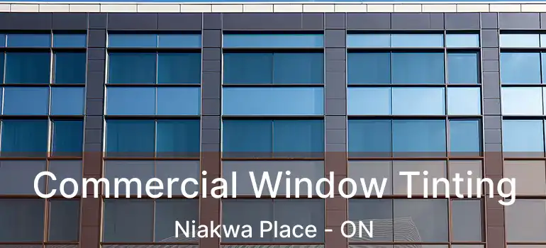  Commercial Window Tinting Niakwa Place - ON