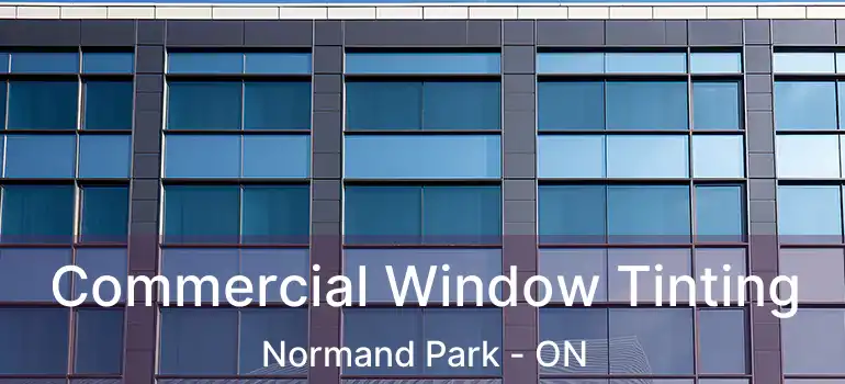  Commercial Window Tinting Normand Park - ON