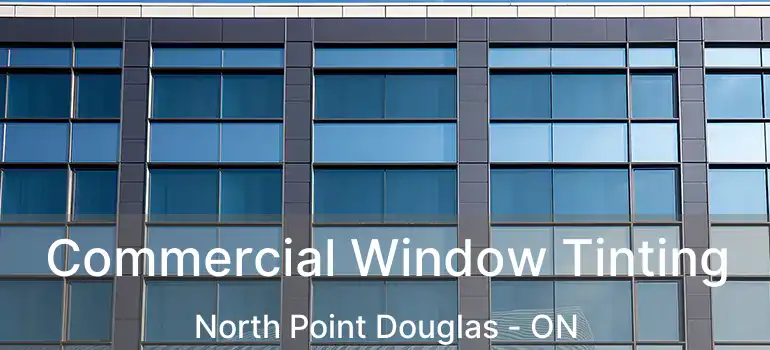  Commercial Window Tinting North Point Douglas - ON