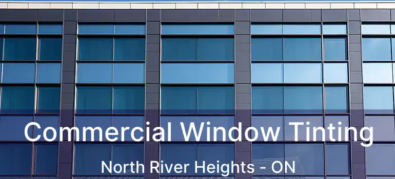  Commercial Window Tinting North River Heights - ON