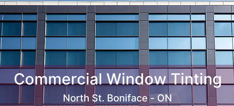  Commercial Window Tinting North St. Boniface - ON