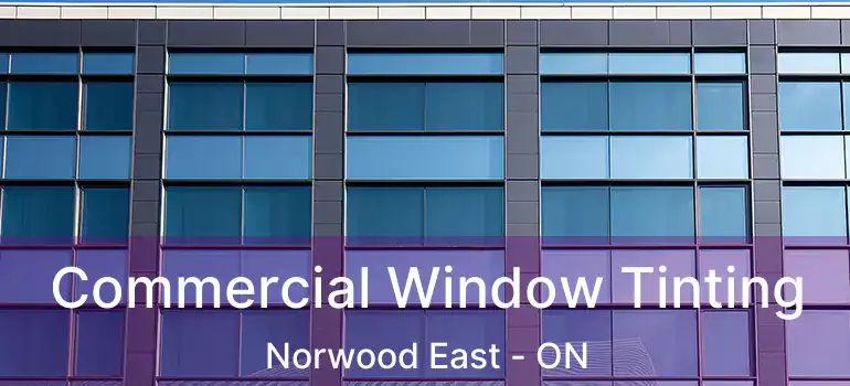  Commercial Window Tinting Norwood East - ON