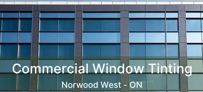  Commercial Window Tinting Norwood West - ON