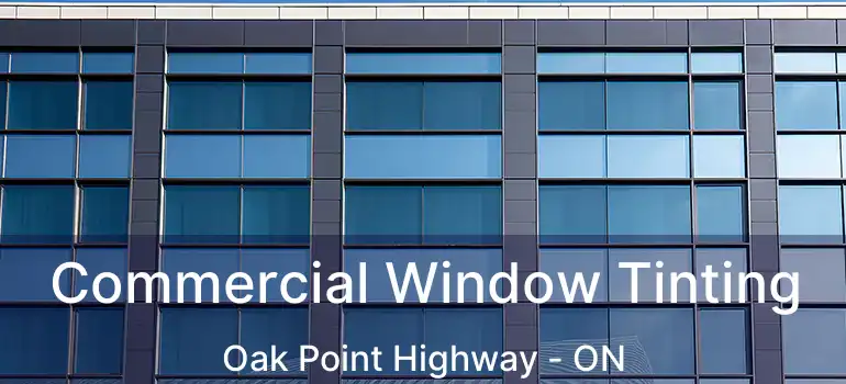  Commercial Window Tinting Oak Point Highway - ON