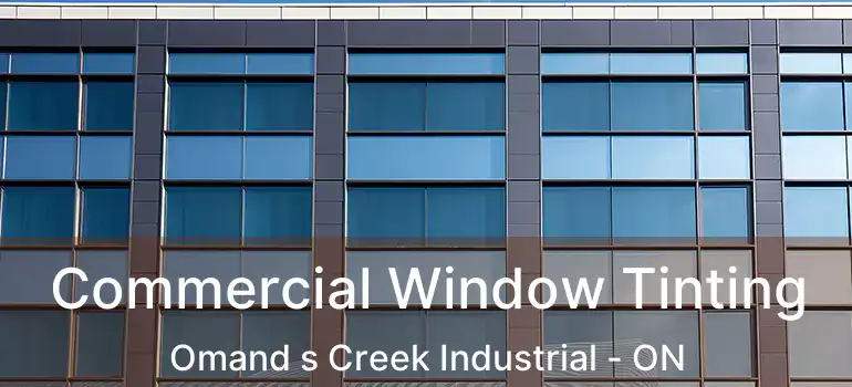  Commercial Window Tinting Omand s Creek Industrial - ON