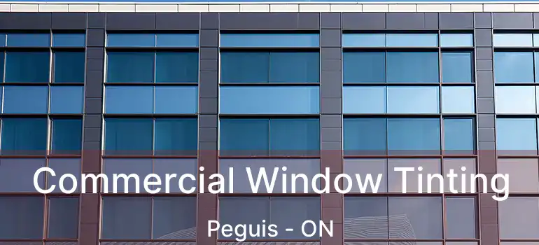  Commercial Window Tinting Peguis - ON