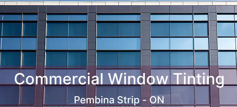  Commercial Window Tinting Pembina Strip - ON