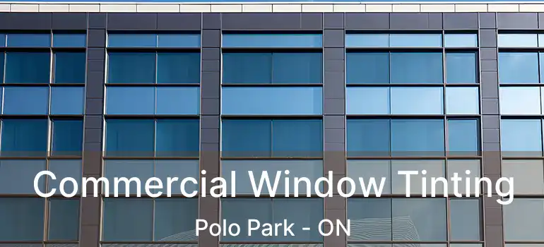  Commercial Window Tinting Polo Park - ON