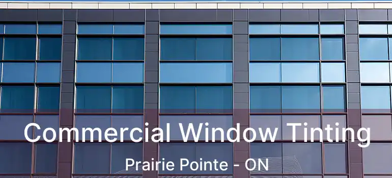  Commercial Window Tinting Prairie Pointe - ON