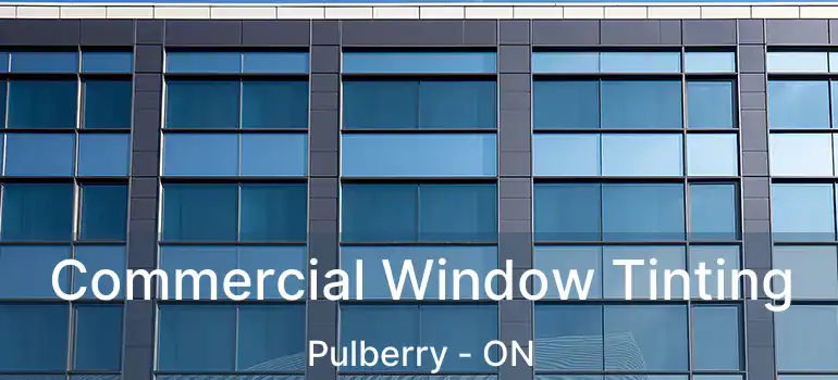  Commercial Window Tinting Pulberry - ON