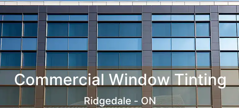  Commercial Window Tinting Ridgedale - ON