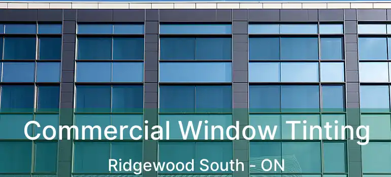  Commercial Window Tinting Ridgewood South - ON