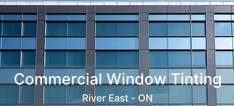  Commercial Window Tinting River East - ON