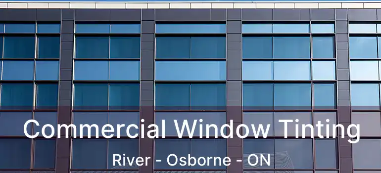  Commercial Window Tinting River - Osborne - ON
