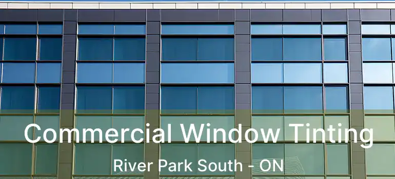  Commercial Window Tinting River Park South - ON