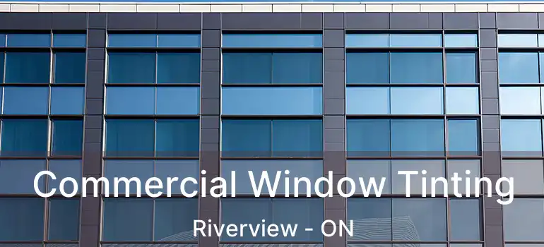  Commercial Window Tinting Riverview - ON