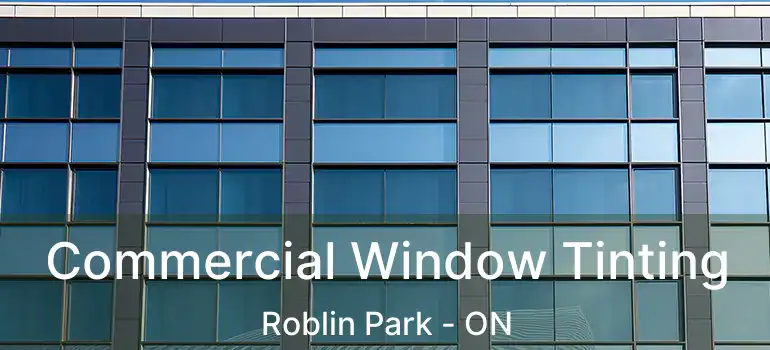  Commercial Window Tinting Roblin Park - ON