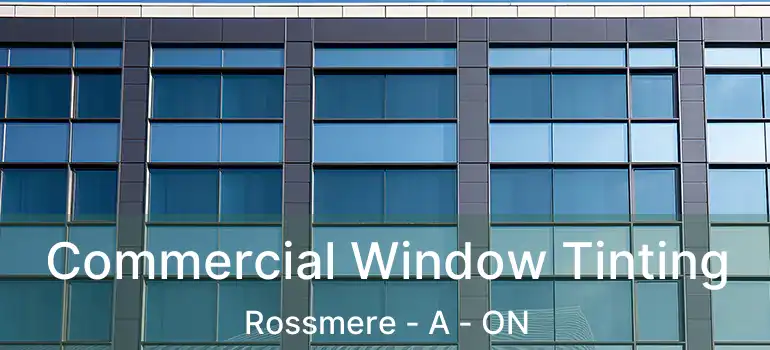  Commercial Window Tinting Rossmere - A - ON