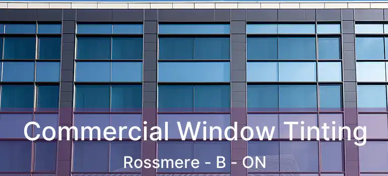  Commercial Window Tinting Rossmere - B - ON