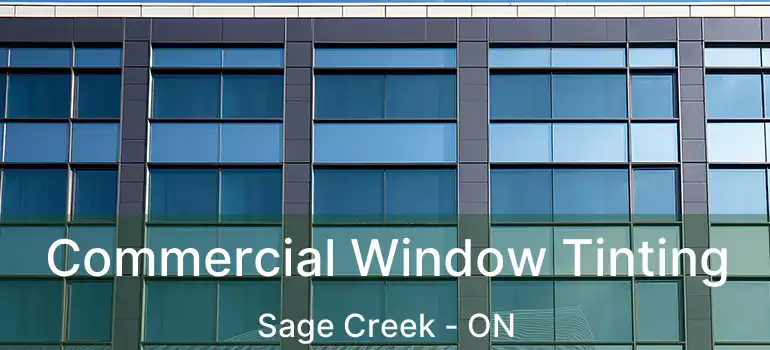  Commercial Window Tinting Sage Creek - ON
